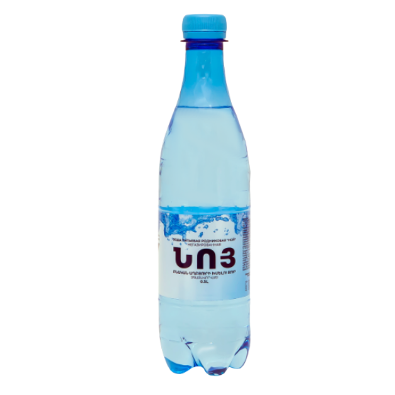 Ոչ գազավորված ջուր Նոյ 0.5լ