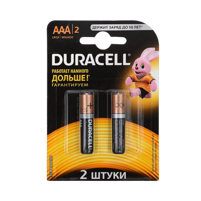 Batteries Duracell AAA 2pcs